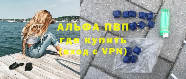 прущие грибы Балахна