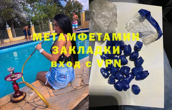 прущие грибы Балахна