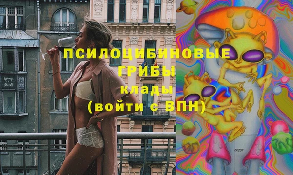 прущие грибы Балахна