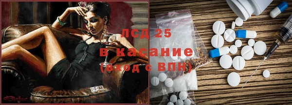 прущие грибы Балахна