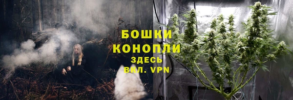 прущие грибы Балахна