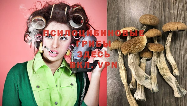 прущие грибы Балахна