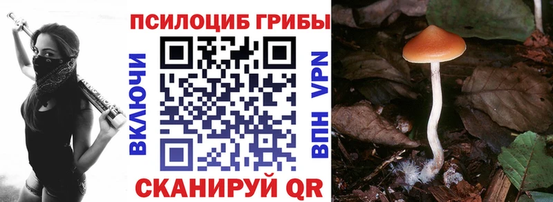 Псилоцибиновые грибы MAGIC MUSHROOMS  kraken ТОР  Валуйки 