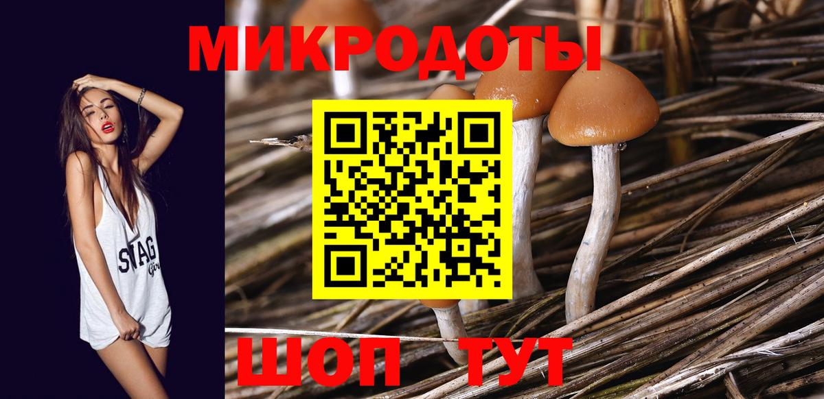 Псилоцибиновые грибы GOLDEN TEACHER Валуйки