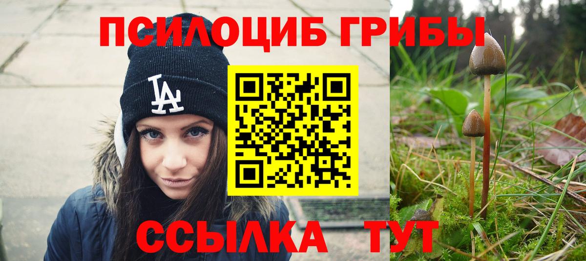 Псилоцибиновые грибы Magic Shrooms  Галлюциногенные грибы Magic Shrooms  Валуйки  где купить наркоту  Вход с VPN 